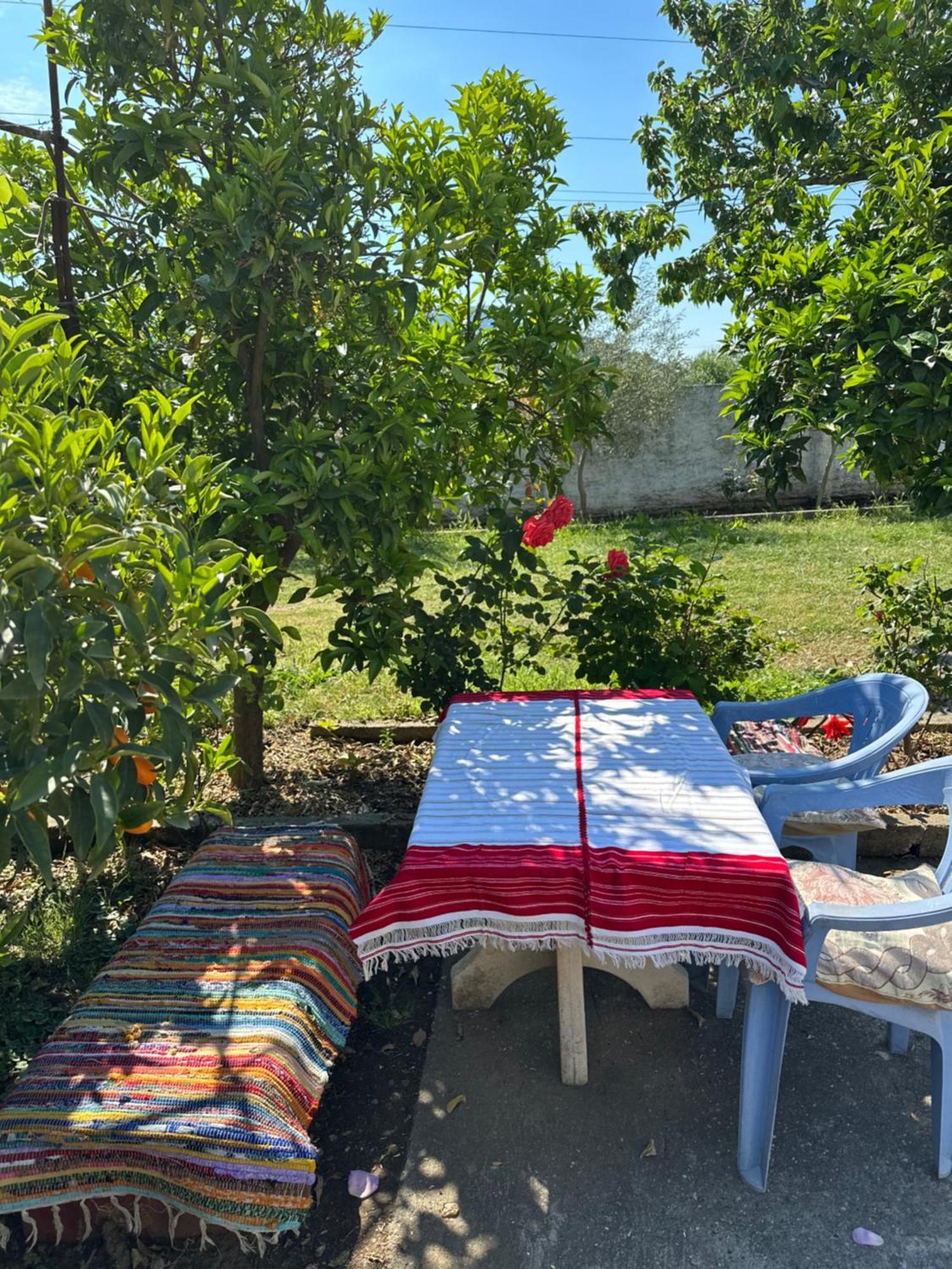 Villa Zefi Rrenc Shkodra Kültér fotó